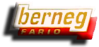 Berneg Logo copy.png